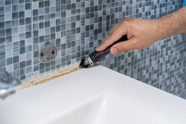 Best Health and Safety Mold Remediation in Dickson City, PA